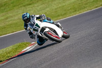 brands-hatch-photographs;brands-no-limits-trackday;cadwell-trackday-photographs;enduro-digital-images;event-digital-images;eventdigitalimages;no-limits-trackdays;peter-wileman-photography;racing-digital-images;trackday-digital-images;trackday-photos